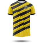 Camisa Phan