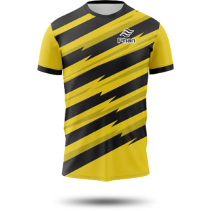 Camisa Phan